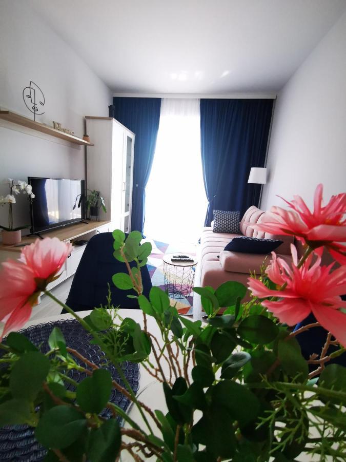 Karra Residence Timisoara - Autorizat Ministerul Turismului 외부 사진